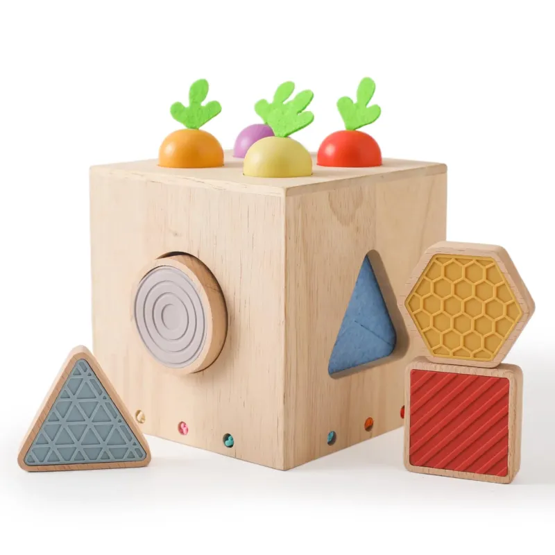 Carrot pegging game wooden motor skills cube toy sensory sorting game shape sorter educational toy