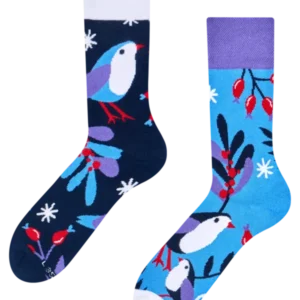 warm-socks-bird-in-winter-a9/a9f34c398e8e2fe89803b6408011e4302ce41f83